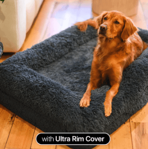 Why a Memory Foam Dog Mattress Is the Perfect Choice for Your Pet